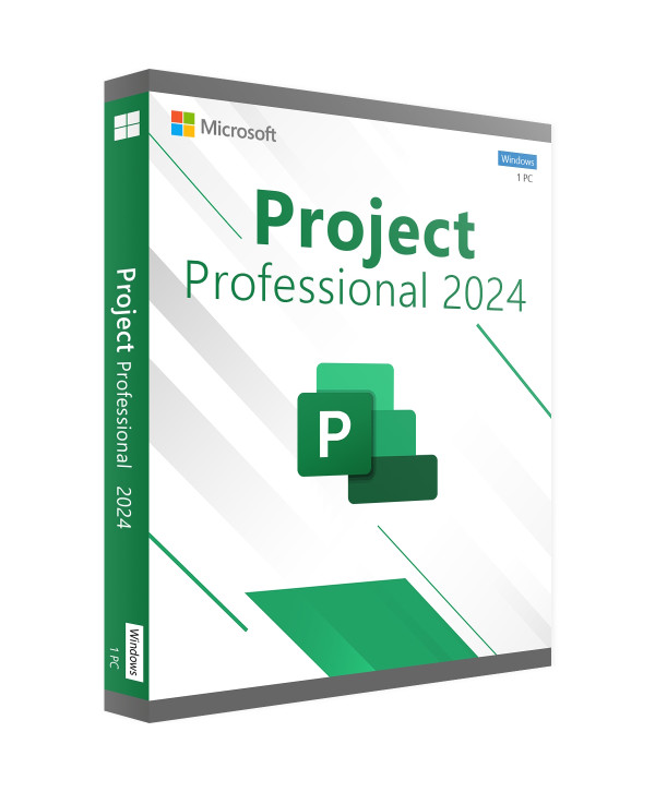 Project Professionnel 2024